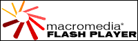 flash logo